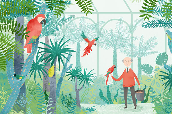Illustration of an elderly man in an orangery with parrots