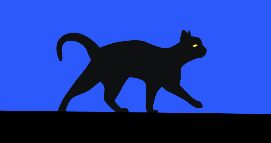 Illustration of a cat on the roof