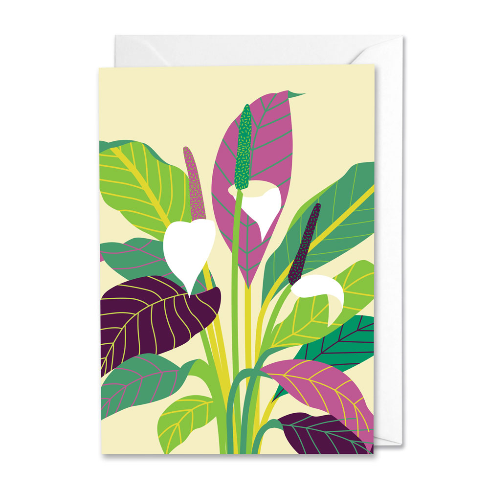 Illustration of a Peace Lily